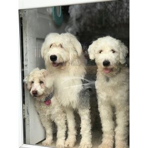 Meet your Posher, Nonnie